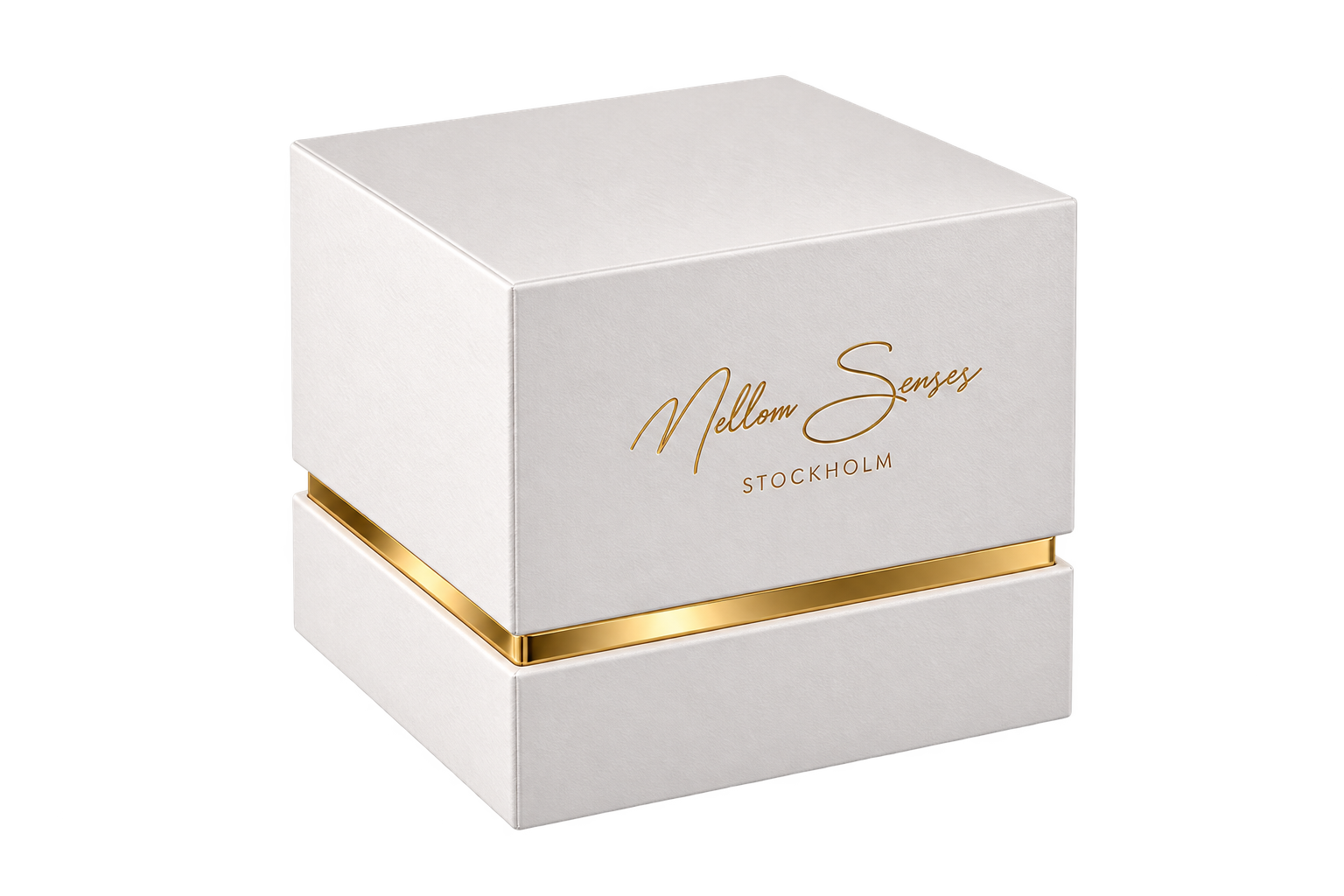 Packaging box